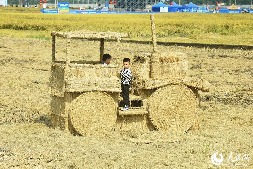 ?????? ????????? ?? ???????