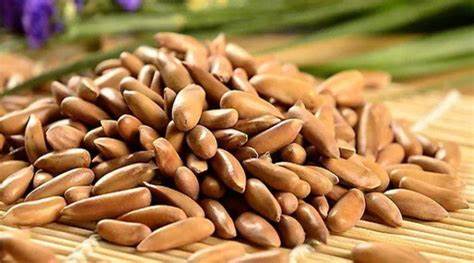 ????? ??????: 45 ???? ?? ??????? ???????? ??? ????? ?? ??? ??? ????? ??? ???????