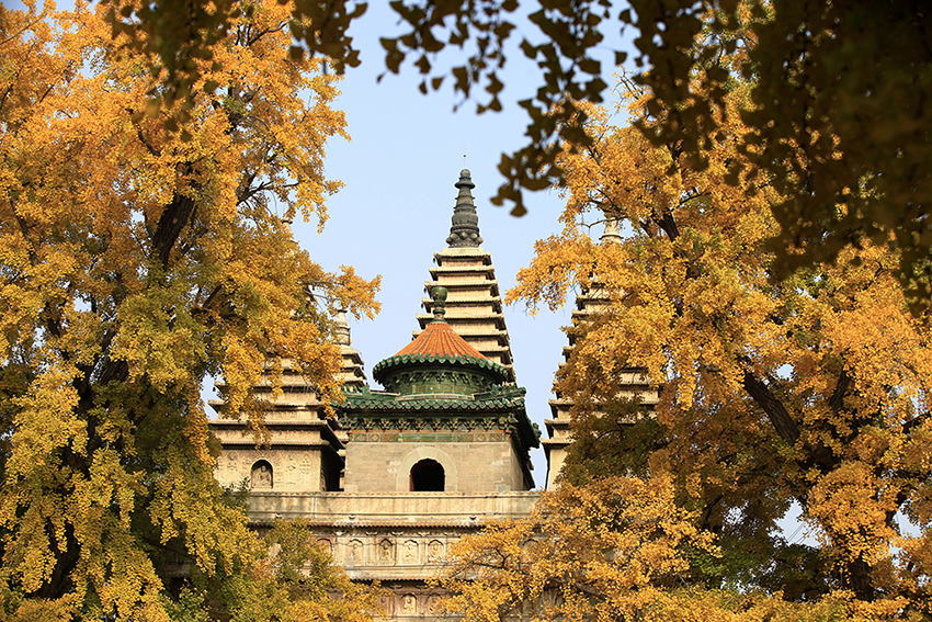 ????: ????? ?????? ??? 600 ??? ?? ???? ???? ??????? ?????? ?????? ?? ??????