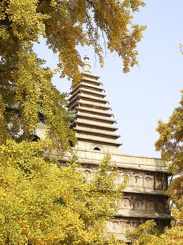 ????: ????? ?????? ??? 600 ??? ?? ???? ???? ??????? ?????? ?????? ?? ??????