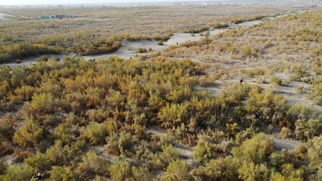 ????? ?????????? ??? ?????? 