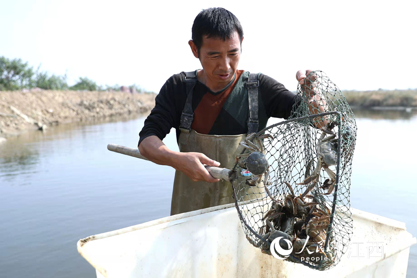 ????? ???????? ?????? ?????? ??? ???? ???????? ?? ?????? ???????