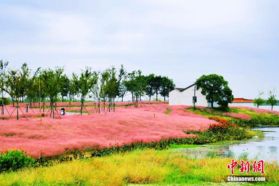 ????? ?? ?????? ??????? ?????