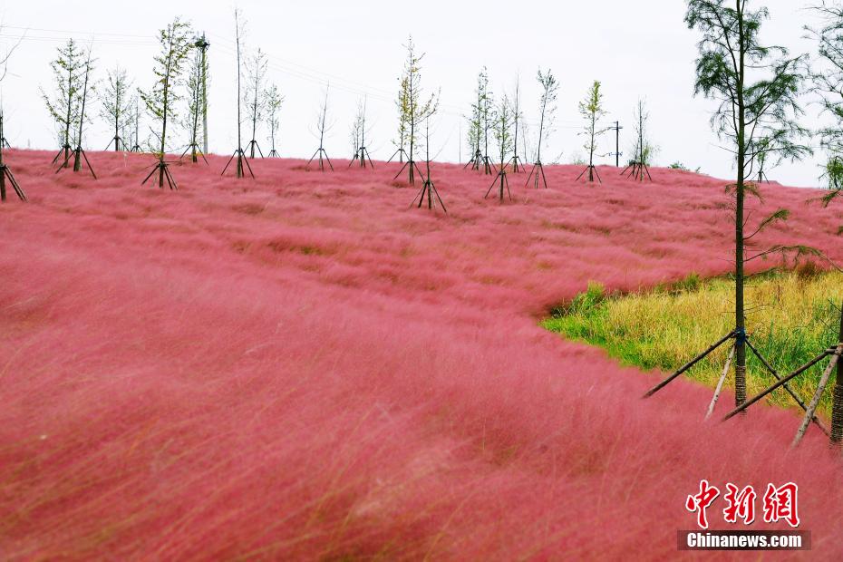 ????? ?? ?????? ??????? ?????