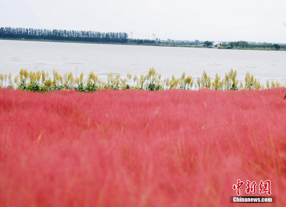 ????? ?? ?????? ??????? ?????