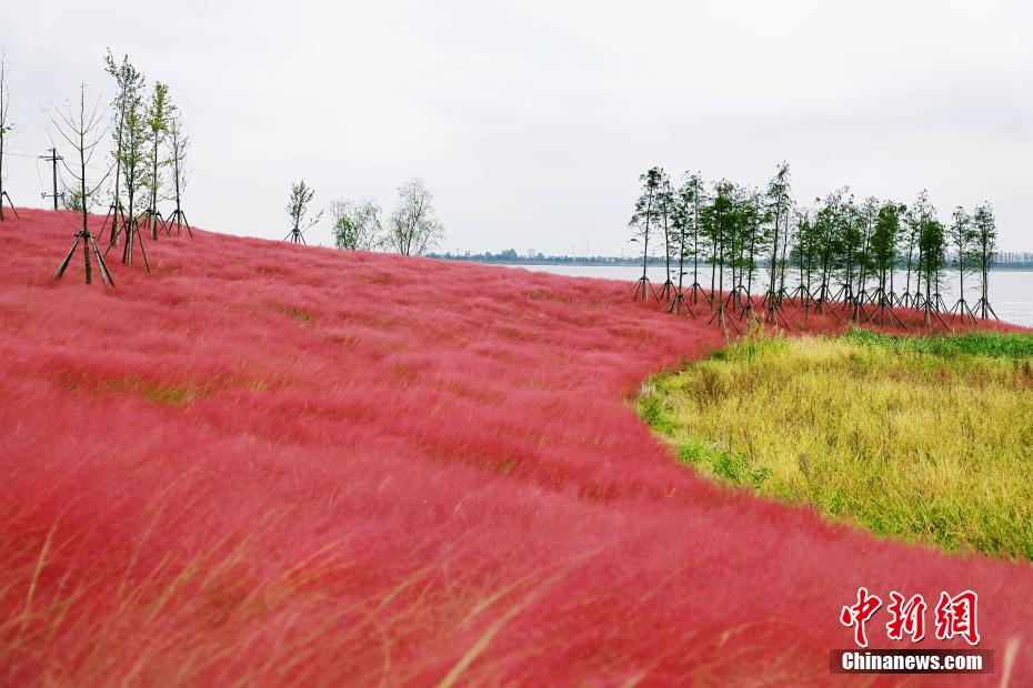 ????? ?? ?????? ??????? ?????