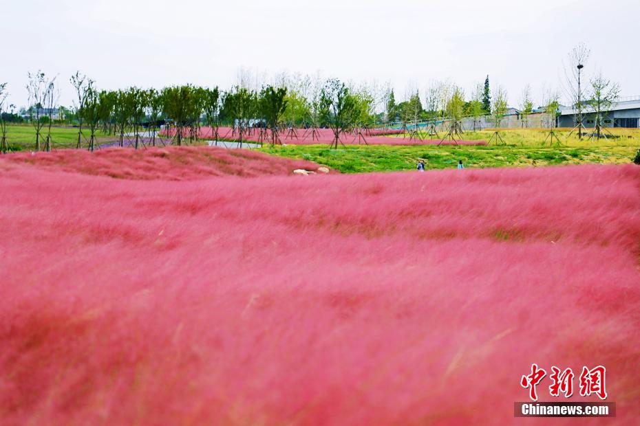 ????? ?? ?????? ??????? ?????