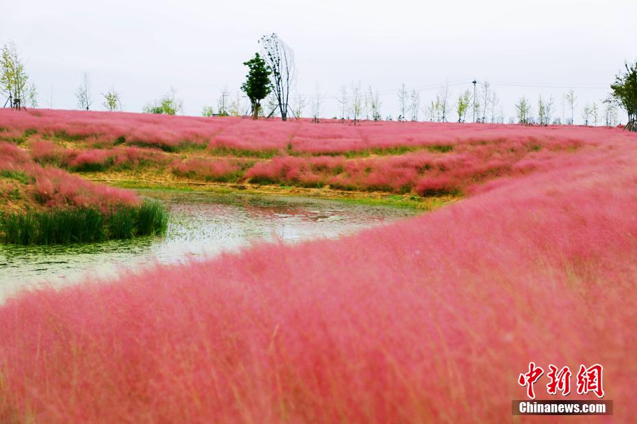 ????? ?? ?????? ??????? ?????