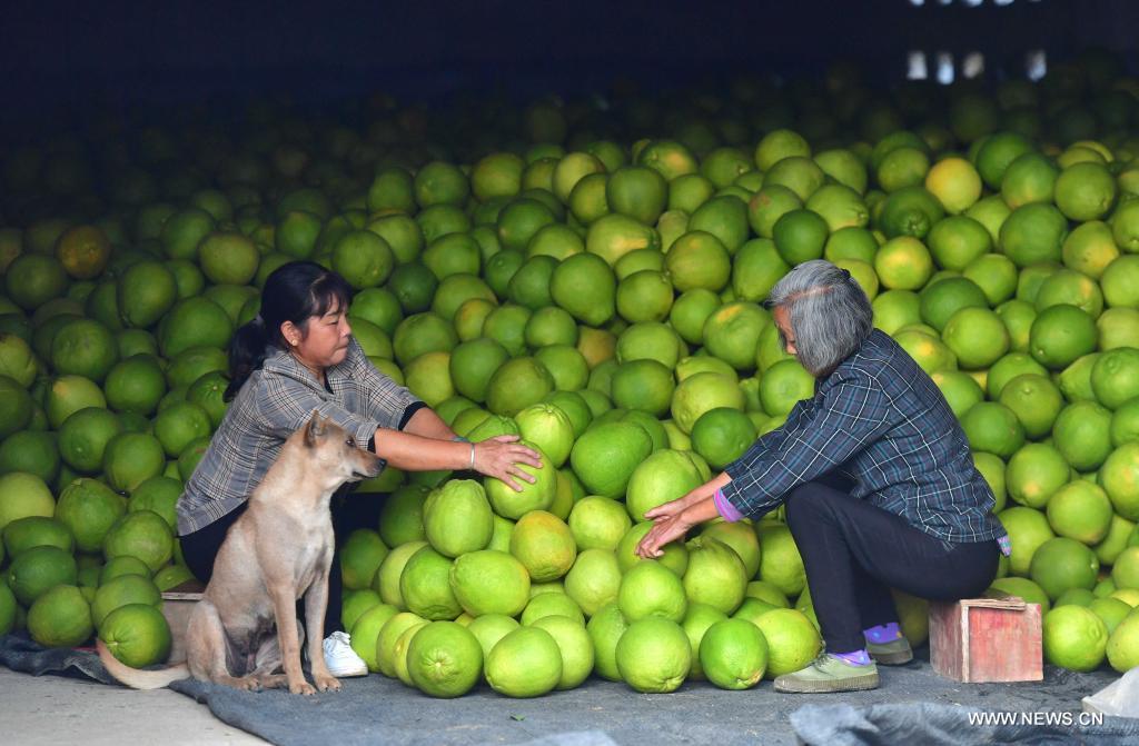 ??? ???????? ???????? ??? ???????? ?????? ?????