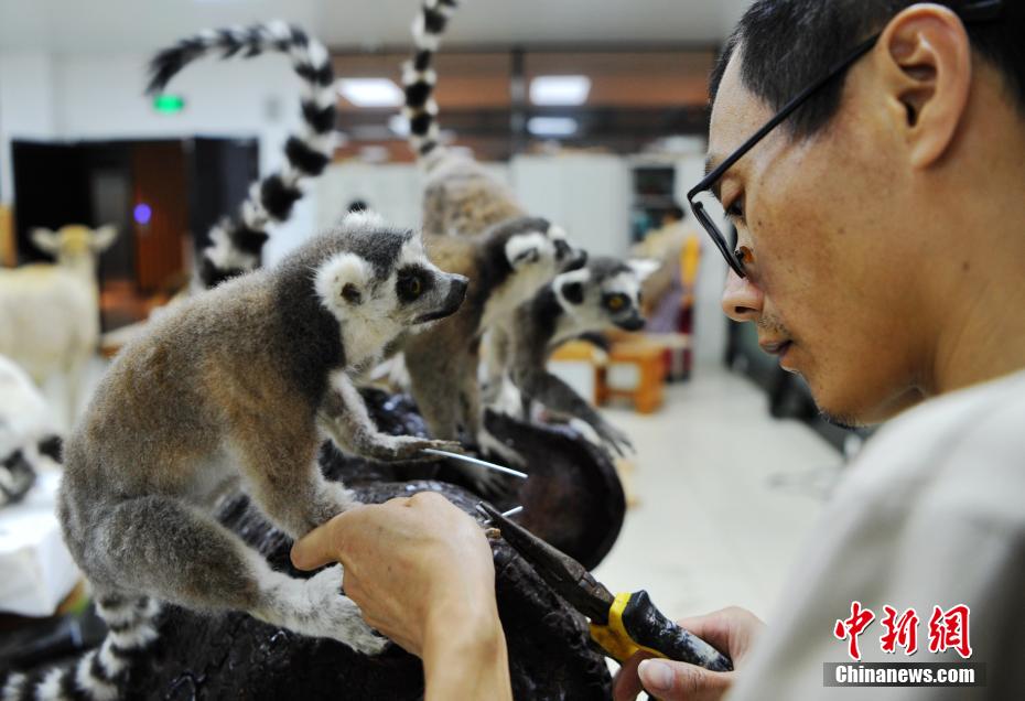 ????? ??????? ????????? ?? ??????