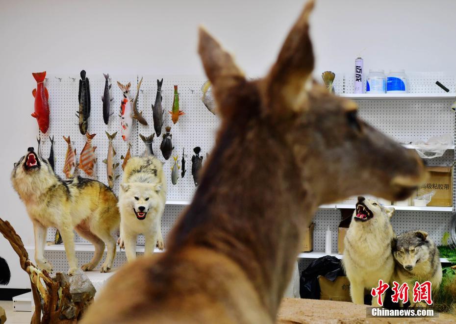 ????? ??????? ????????? ?? ??????