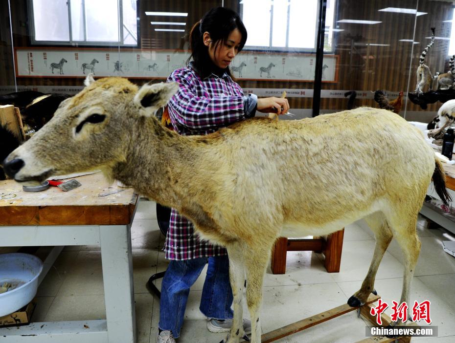 ????? ??????? ????????? ?? ??????