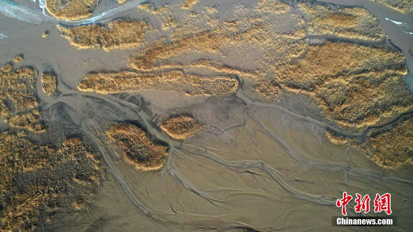 ????? ????? ??????? ????????? ?? ????? ??????