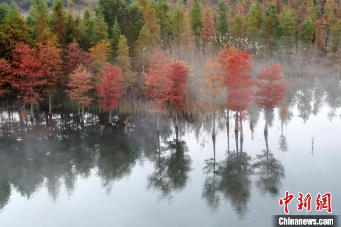 ????? ?????? ????? ????? ??????? ??????? ?? ????? ????????? ??????? ???????