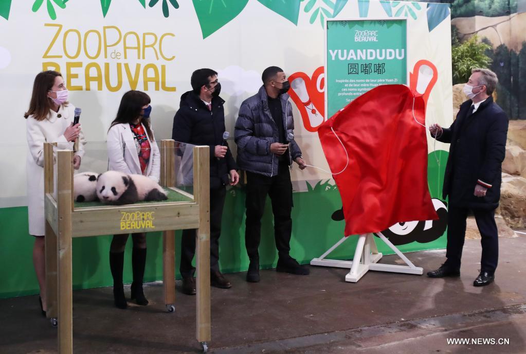 ????? ?? ???? ???? ?? ???? ??????? ???????? ?? ????? ????? ??????