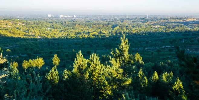 ????? ???? 26 ????? ????? ?? ??????? ???? 13 ???