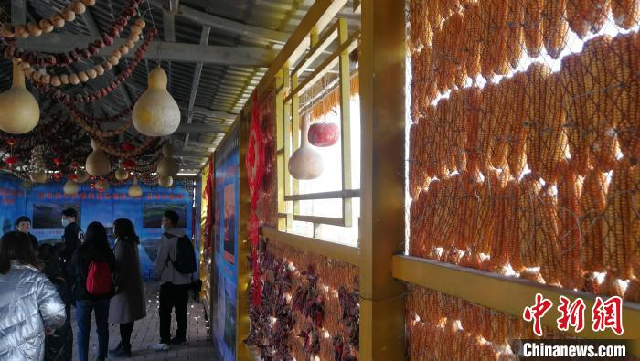 ???? ????? ??????? ?????????