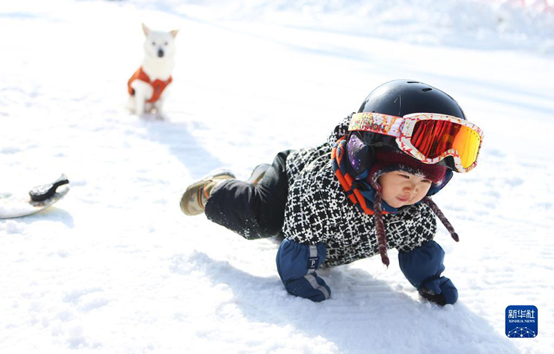 ????? ???? ?????? ??? ?????