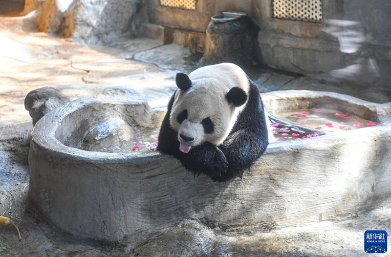 ??? ????? ??????? ??????? ??????? ???????? ??? ??????