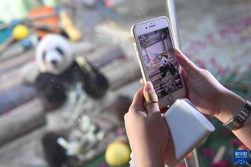 ??? ????? ??????? ??????? ??????? ???????? ??? ??????