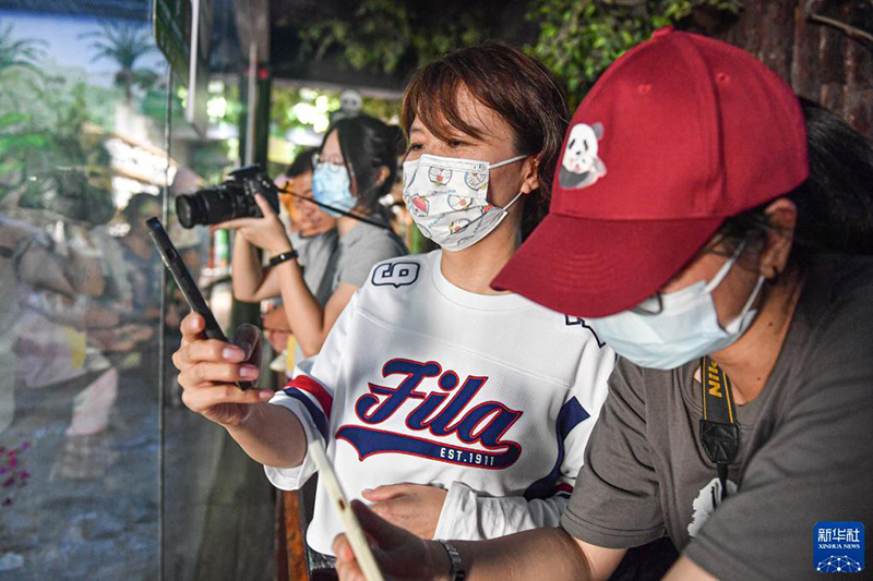 ??? ????? ??????? ??????? ??????? ???????? ??? ??????