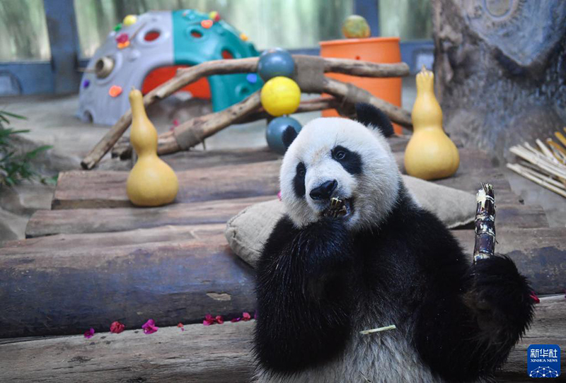 ??? ????? ??????? ??????? ??????? ???????? ??? ??????