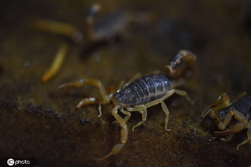 ???? ?? .. ???? ??????? ?? ???????? ?????