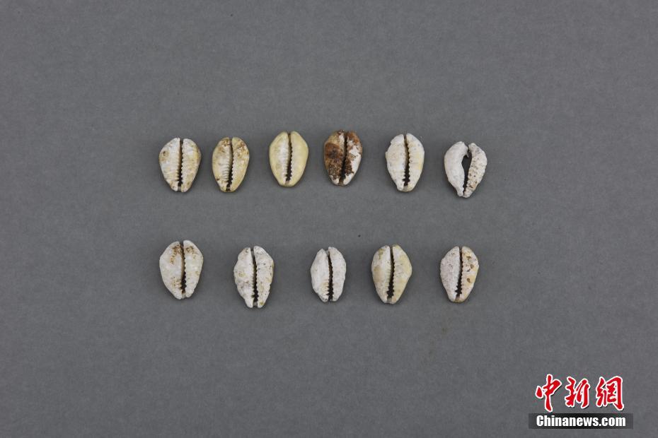 ?????? ??? ????? ?? ??? ???? ??????? ???? ???? ???? ?????