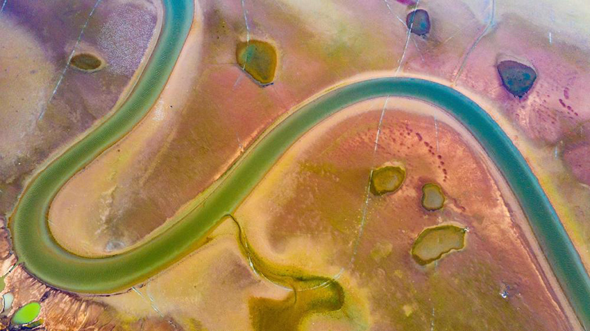 ????? ?????? ???????? ???? ???? ??????? ???????? ?????? ???????