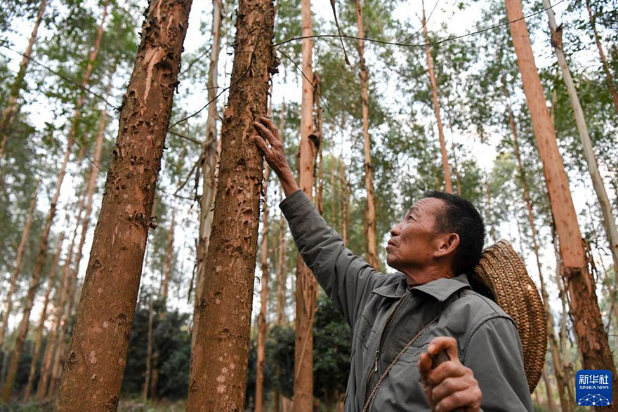 ????? ????? ??? ????? ??????? ??17 ????