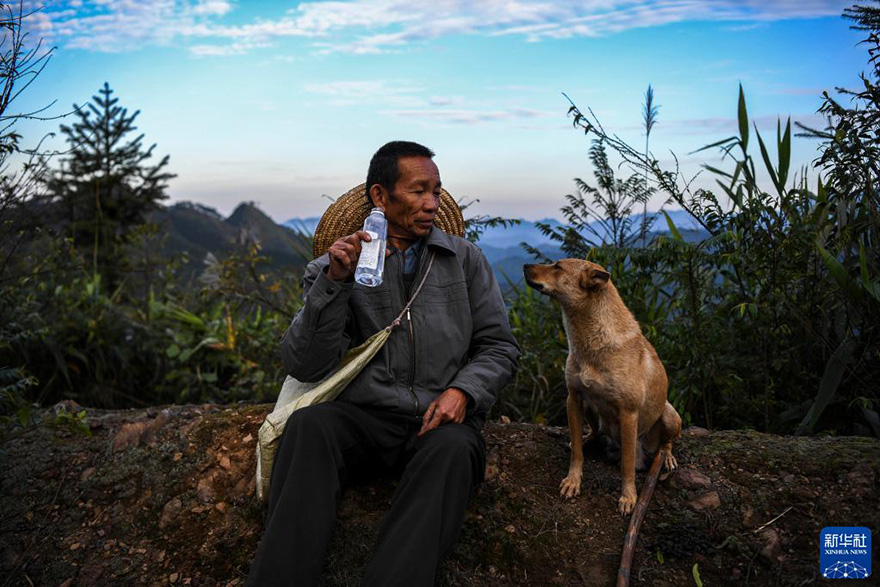 ????? ????? ??? ????? ??????? ??17 ????