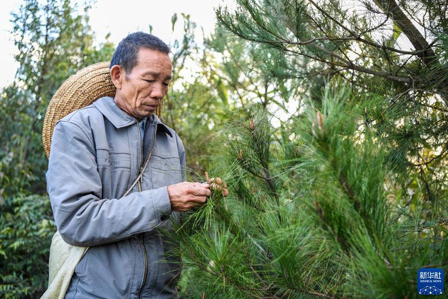 ????? ????? ??? ????? ??????? ??17 ????