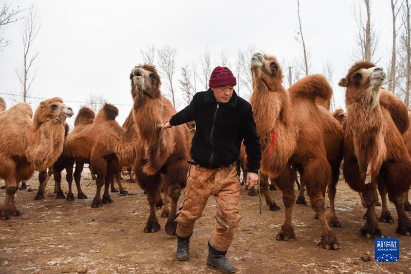 ????? ????? ??????? ????? ?????????