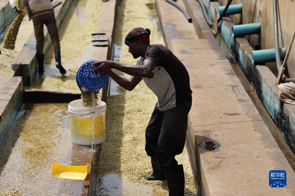 ??????? ?????? ??? ????? ???????? ???? ?????