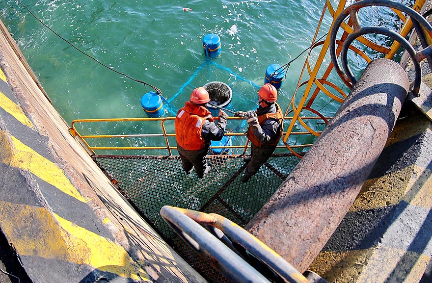 ????? ???? ????? ??? ????? ????? ????? ?????? ??????? ???????