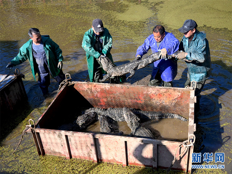 ?????? ????? ????? ???? ???? ??????