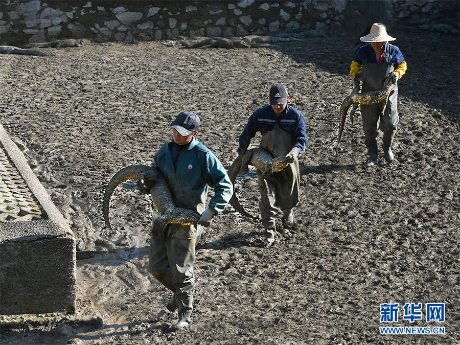 ?????? ????? ????? ???? ???? ??????