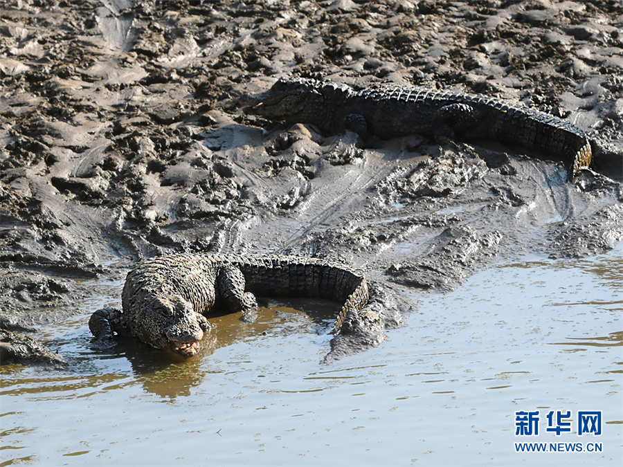 ?????? ????? ????? ???? ???? ??????