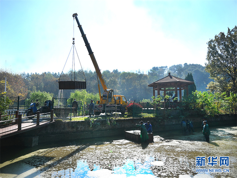 ?????? ????? ????? ???? ???? ??????