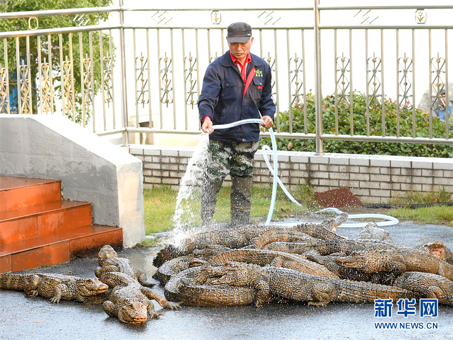 ?????? ????? ????? ???? ???? ??????