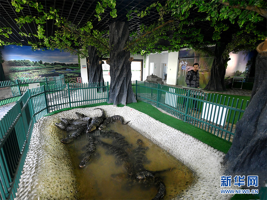 ?????? ????? ????? ???? ???? ??????