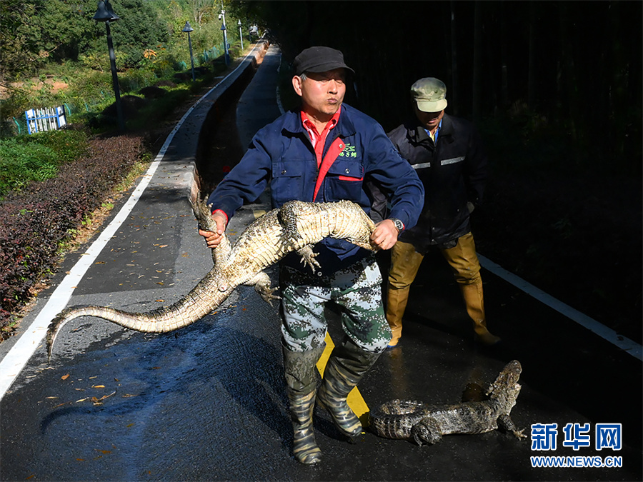 ?????? ????? ????? ???? ???? ??????