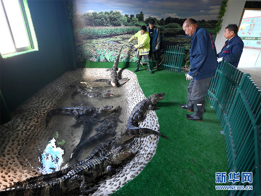 ?????? ????? ????? ???? ???? ??????