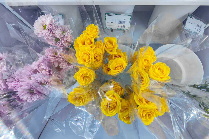 ??? ???? ?????? ?? ???? ???? ??????