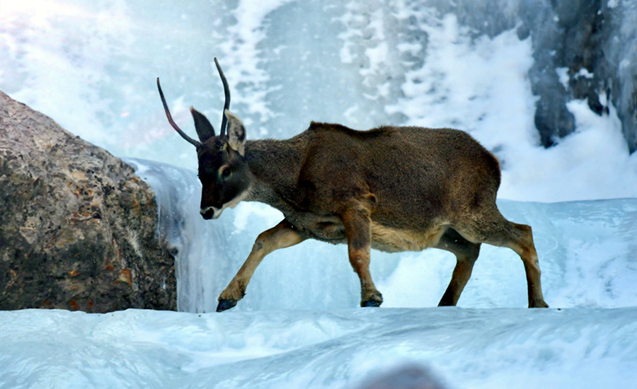 ??????? ???? ?????? ??????? ???? ?? ???? ????????