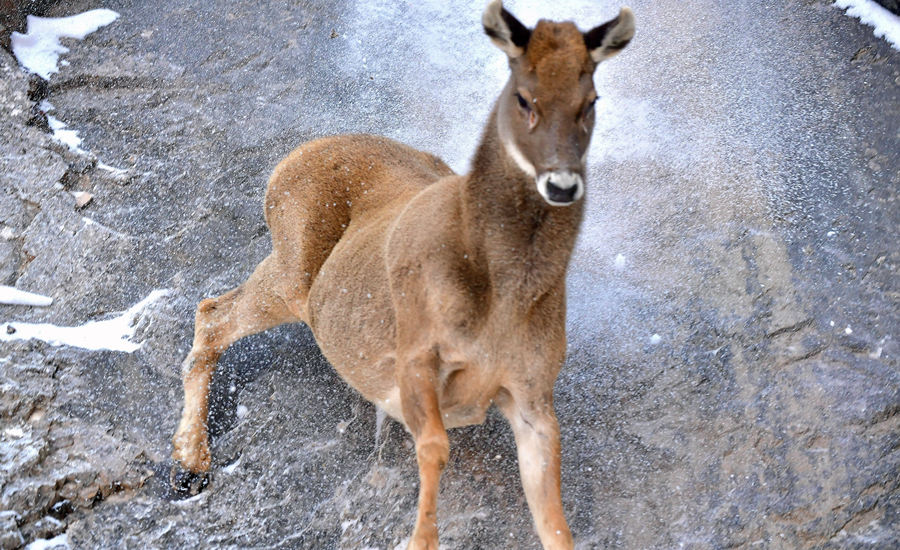 ??????? ???? ?????? ??????? ???? ?? ???? ????????