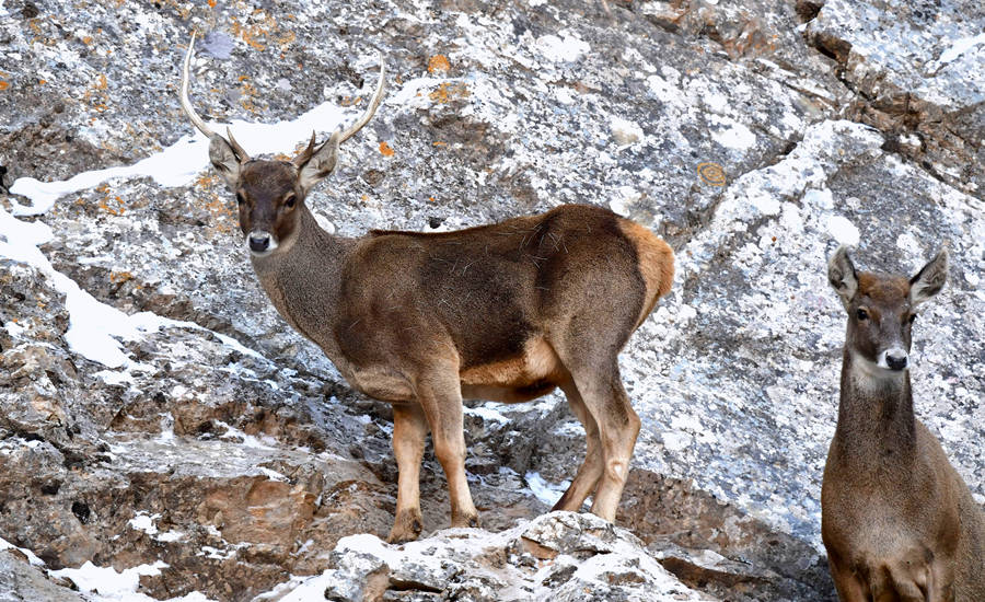 ??????? ???? ?????? ??????? ???? ?? ???? ????????