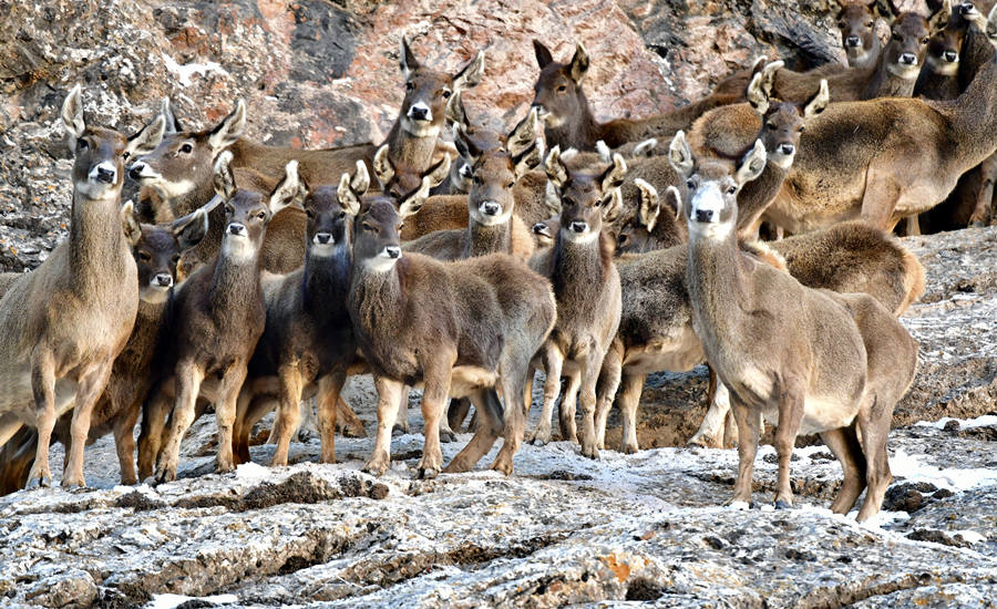 ??????? ???? ?????? ??????? ???? ?? ???? ????????