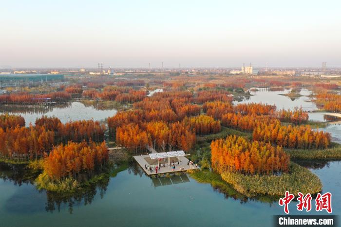 ??? ???? ?????? ???????? ?????? ??????? ?????? ?? ???????