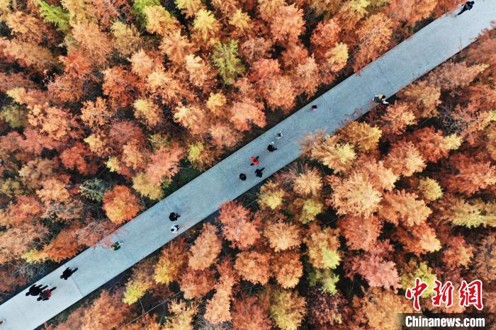 ??? ???? ?????? ???????? ?????? ??????? ?????? ?? ???????